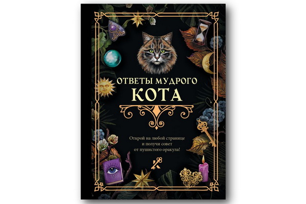 Мудрый кот ответит на все ваши вопросы